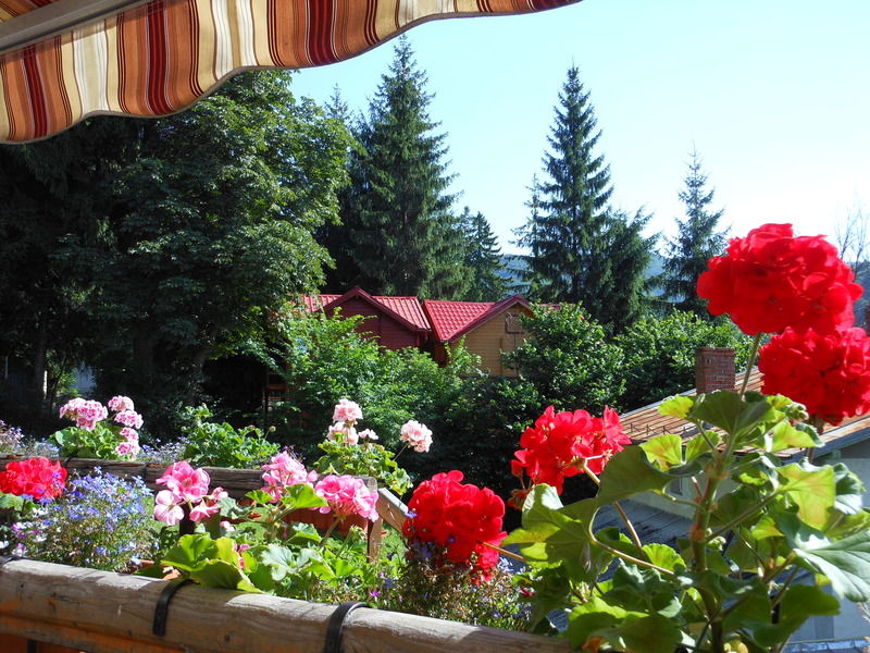 Bistro-Pension La Teleferic Sinaia Exterior foto